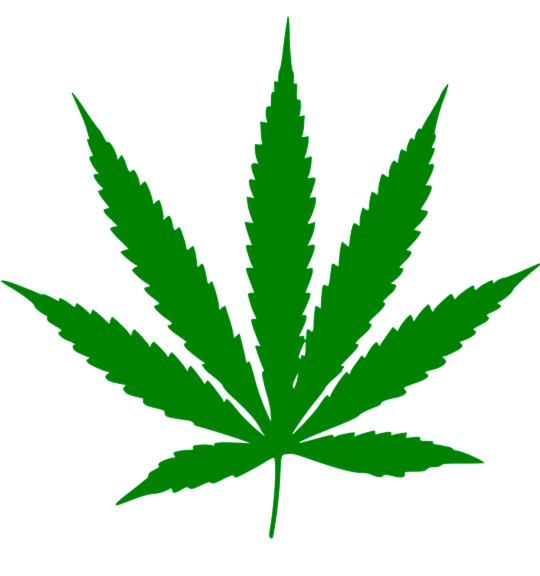 Сколько листов у марихуаны правда о действие конопли