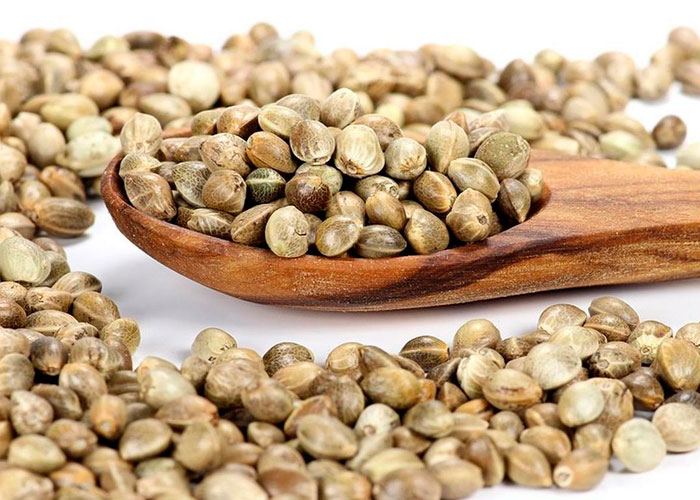 Семена конопли как кормить семена почтой марихуаны наложенным платежом
