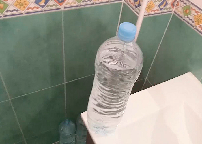 Какая вода подойдет для полива
