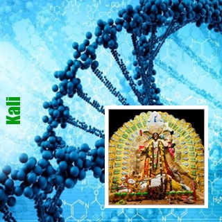 Kali-min  Kali | Genetika  Marihyanni  |  Magazin GanjaSeeds Kali, GanjaSeeds.com.ua генетика Kali