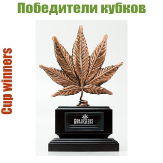 winer-cannabis Pobediteli kybka | Semena Marihyani | GanjaSeeds Ykraina  Pobediteli kybka, GanjaSeeds.com.ua Сорта конопли победители кубков
