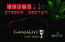 Конкурс «GanjaLive Cup 2020» входит в финальную стадию!