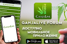 Новый шаг в цифровой мир – бесплатное приложение «GanjaLive»