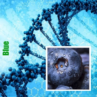 Генетика Blue