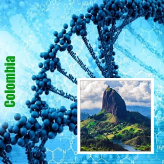 Генетика colombia