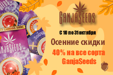 Скидки октября от GanjaSeeds – на все сорта 40%!